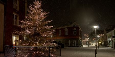 Sneindhyllet juletræ en aften ved Vandkunsten. Foto: Frederikssund Kommune, Kenneth Jensen.