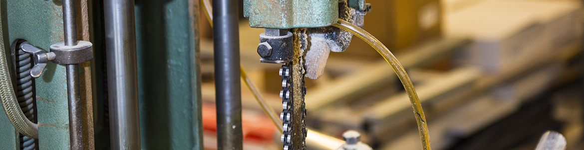 Sav. Foto: Kenneth Jensen.