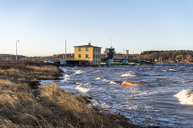 Vandet slikker op af dæmningen, men er langt fra at nå J.F. Willumsensvej og broen. Foto: Kenneth Jensen, Frederikssund Kommune.