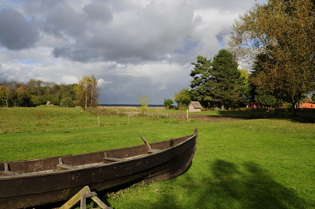 Færgelunden på en efterårsdag. Foto: Kenneth Jensen.
