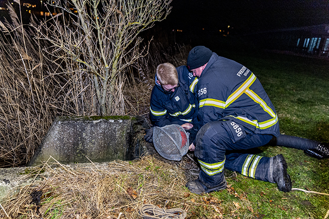 Der gøres klar til at pumpe vand ved Kignæshallen. Foto: Kenneth Jensen, Frederikssund Kommune.