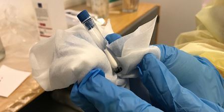 Hænder iført blå handsker håndterer rør med coronaprøve i. Foto: Frederikssund Kommune.