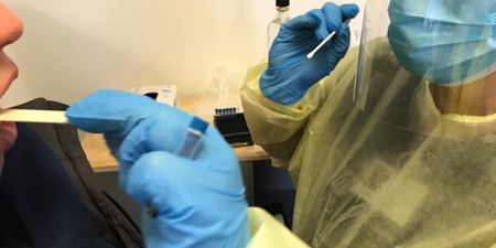 Hænder iført handsker holder coronatest og podepind. Foto: Frederikssund Kommune.