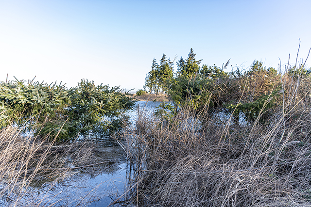 Over Dråby Strand. Foto: Frederikssund Kommune, Kenneth Jensen.