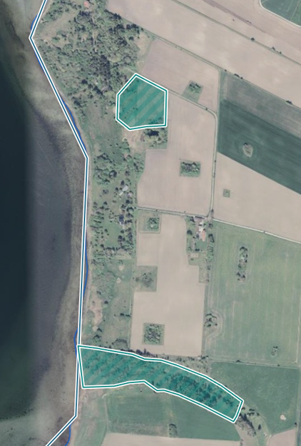 Projektområde Hammer Bakker