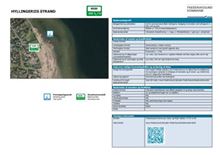 Profil Hyllingeriis Strand