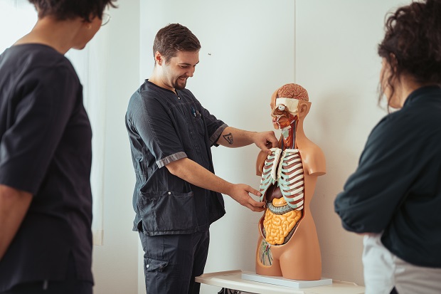 Social- og sundhedsmedarbejdere kigger på en figur af overkroppen og dens skelet. Foto: Frederikssund Kommune.