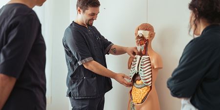 Social- og sundhedsmedarbejdere kigger på en figur af overkroppen og dens skelet. Foto: Frederikssund Kommune.