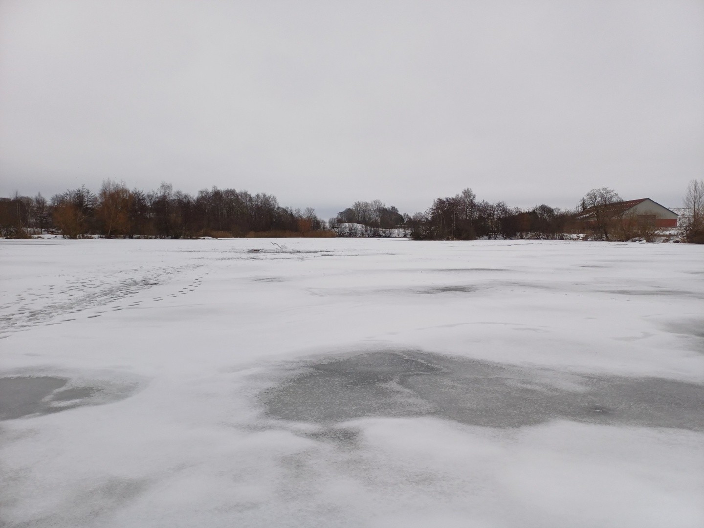 Grønlien med is på. Foto: Frederikssund Kommune