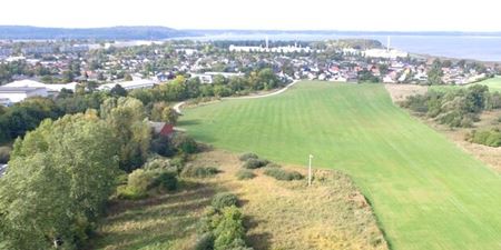 Ellehammervej langs Græse Ådal er et af de steder, der skal reguleres råger. Foto: Frederikssund Kommune.