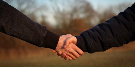 To mennesker giver et håndtryk. Der kan kun ses en arm fra hver. Foto: Pixabay.