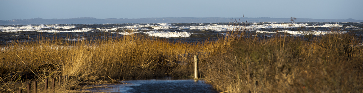 Vandet pisker mod Over Draaby Strand. Foto: Kenneth Jensen.