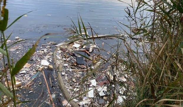 Forurening i vandet ved Skallen Havn. Foto: Frederikssund Kommune.