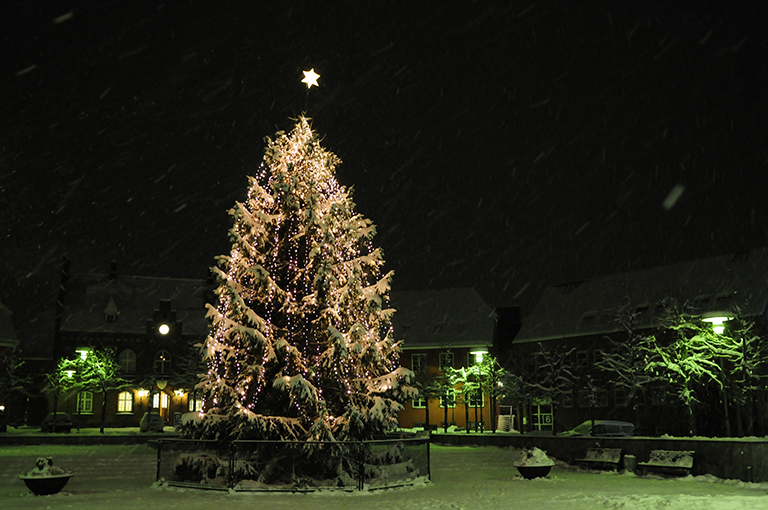 Juletræ indhyllet i sne på Torvet i Frederikssund. Foto: Kenneth Jensen, Frederikssund Kommune.