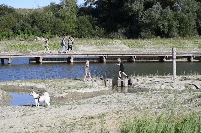 Børnene udnytter også de nye legeelementer ved Solsikkesøen. Foto: Frederikssund Kommune