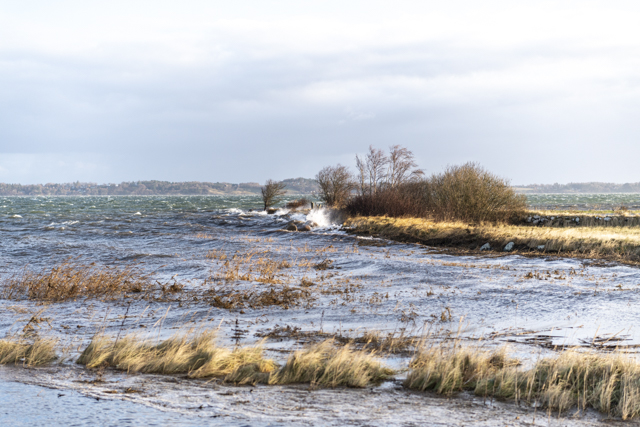 Højvande ved Kulhuse, Revelinen. Foto: Frederikssund Kommune, Kenneth Jensen.