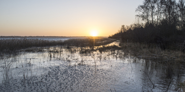 Oversvømmelse ved Hyllingeriis. Foto: Frederikssund Kommune, Kenneth Jensen.