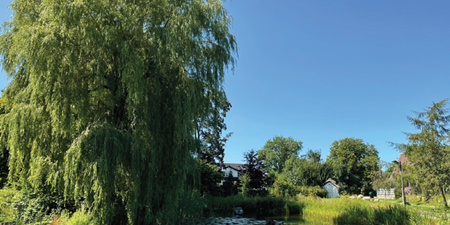 Naturparti fra Skuldelev. Foto. Frederikssund Kommune.