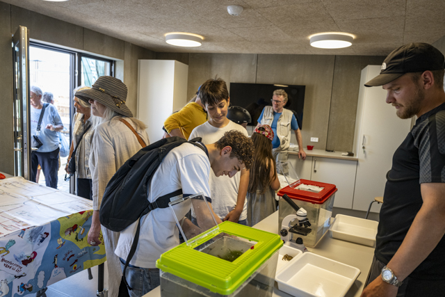 Naturaktiviteter i Kultur- og havnebadet. Foto: Kenneth Jensen.