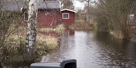 Goldbjergvej i Kulhuse under stormen Egon i januar 2015. Foto: Kenneth Jensen, Frederikssund Kommune.