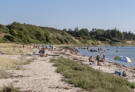 Dette er et billede af Kulhuse Strand