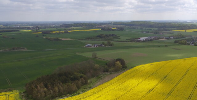 Landskab med rapsmarker. Foto: Frederikssund Kommune.