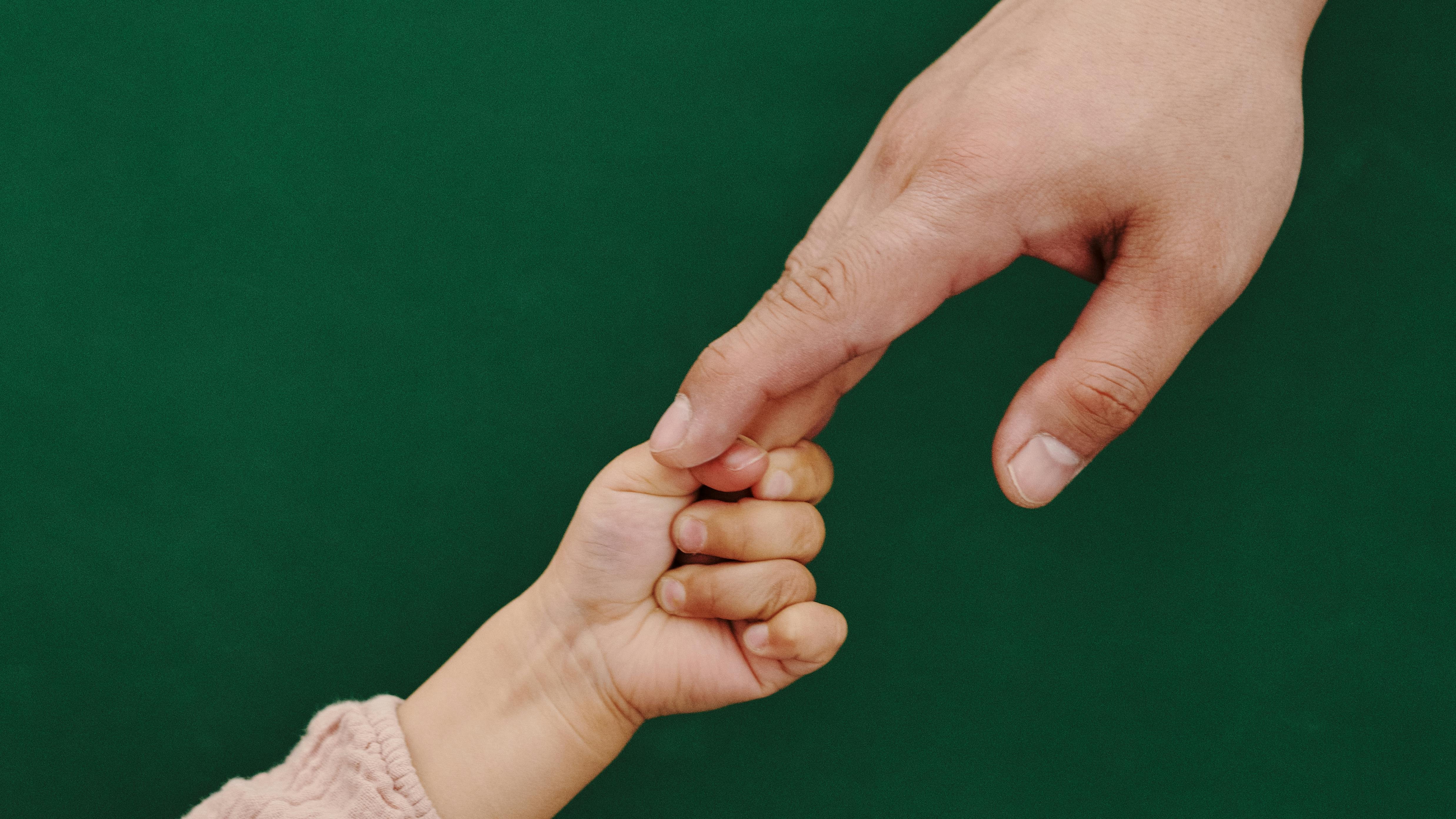 En barne- og en voksenhånd rækker ud efter hinanden. Foto: Frederikssund Kommune
