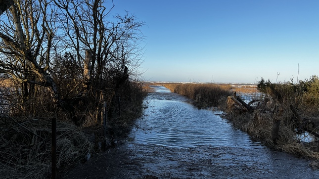 Over Dråby Strand. Foto: Frederikssund Kommune, Kenneth Jensen.