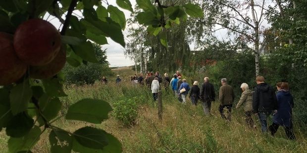 Deltagerne går over et engområde med frugttræer. Foto: Frederikssund Kommune.