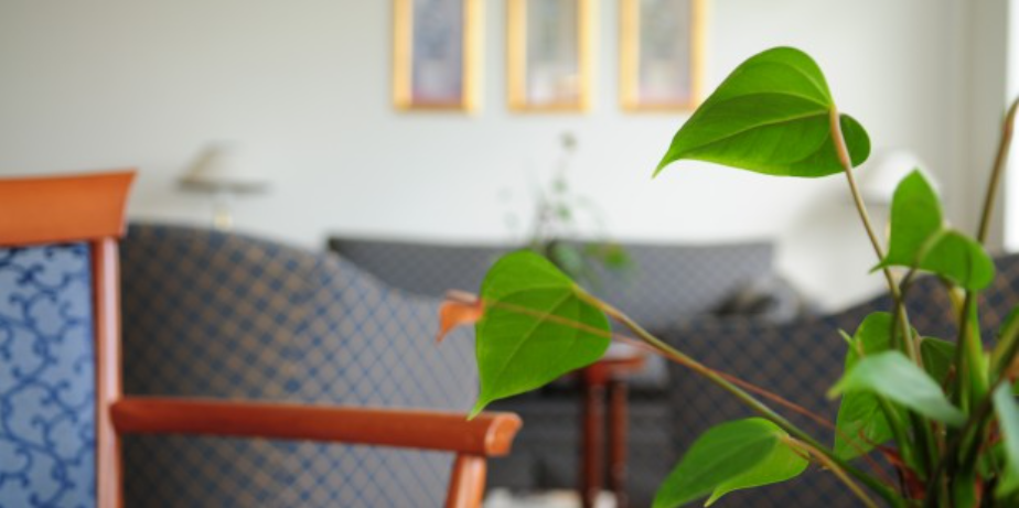 Stue med møbler og en potteplante. Foto: Frederikssund Kommune, Kenneth Jensen.