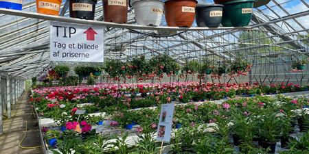 Forårsmarked på Højagergaard 25.- 26. april