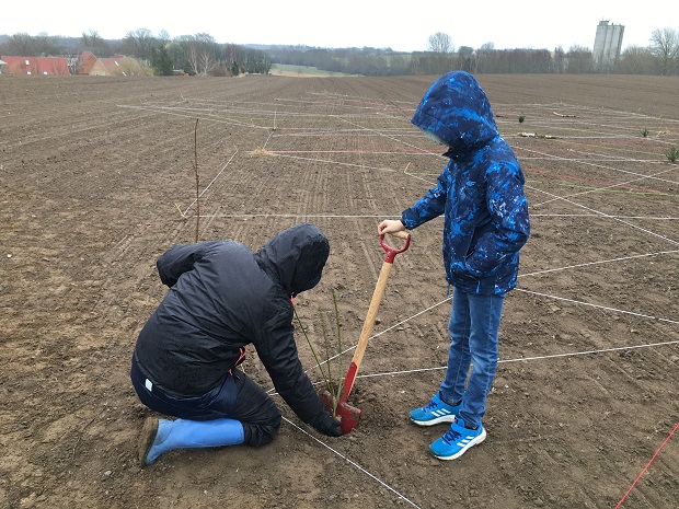 To elever er ved at plante et træ i miyawakiskoven. Foto: Frederikssund Kommune.