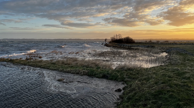 Kulhuse søndag kl. 8. Foto: Frederikssund Kommune, Kenneth Jensen.