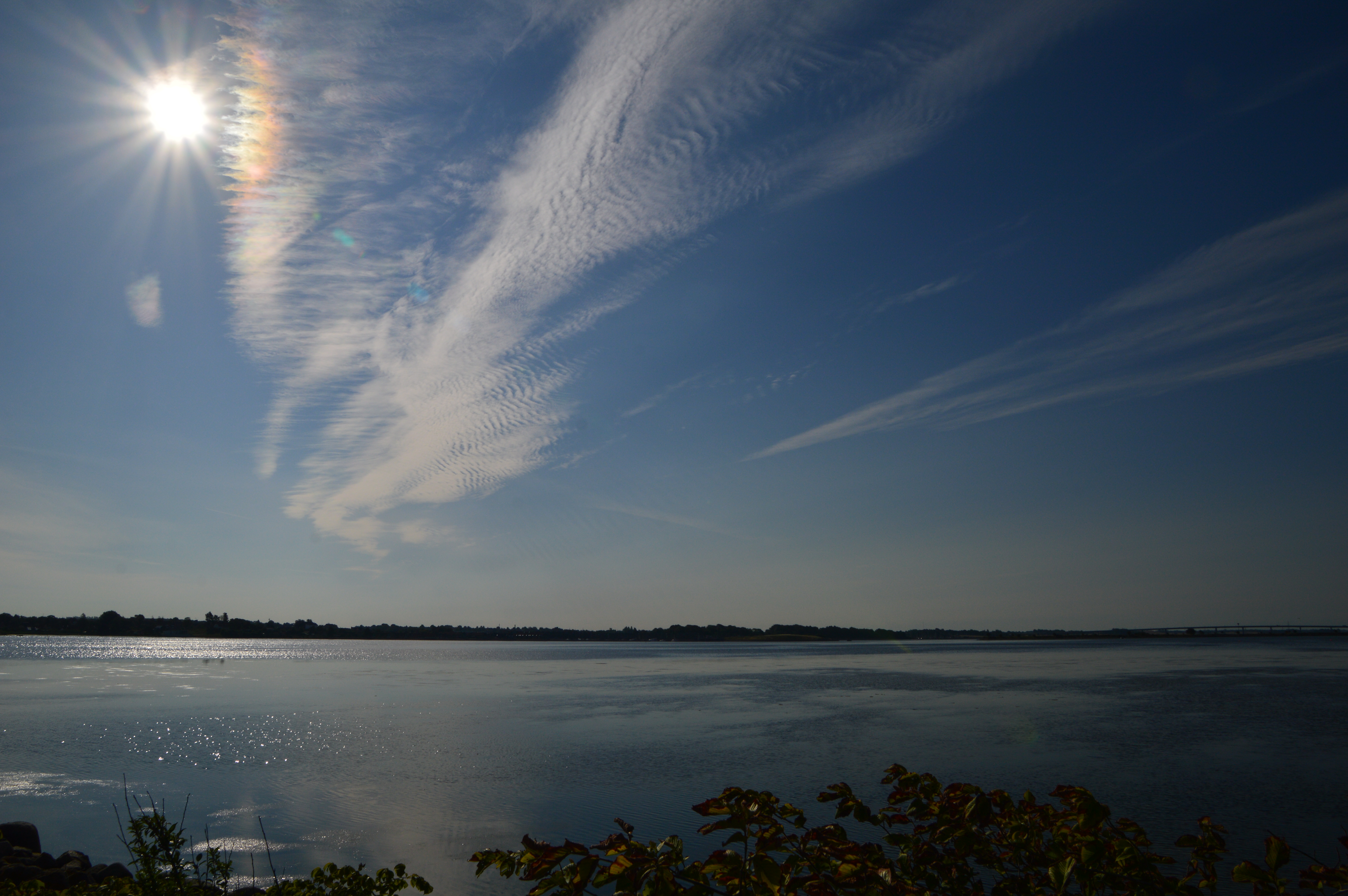 DSC_0039.JPG