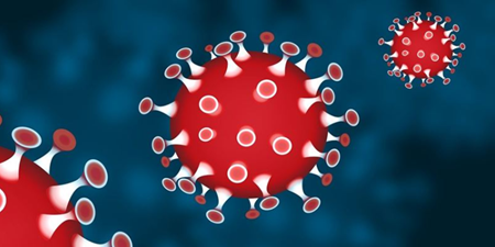 Illustration af et rødt coronavirus på blå baggrund. Grafik: Pixabay