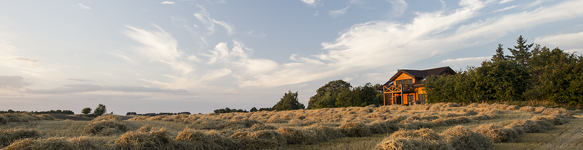 Hus i solnedgang på mark ved Vellerup. Foto: Kenneth Jensen.