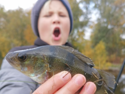 Dreng holder karpe i hånden. Foto: Fishing Zealand.