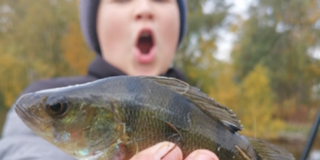 Dreng holder karpe i hånden. Foto: Fishing Zealand.