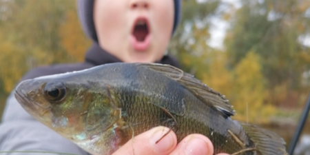 Dreng viser en fisk, han har fanget. Foto: Fishing Zealand.