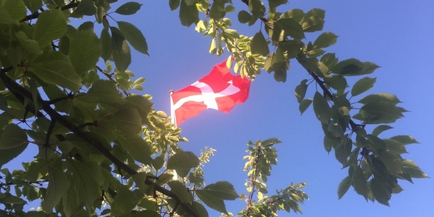 Dannebrog vajer mod en blå himmel. Foto: Frederikssund Kommune.