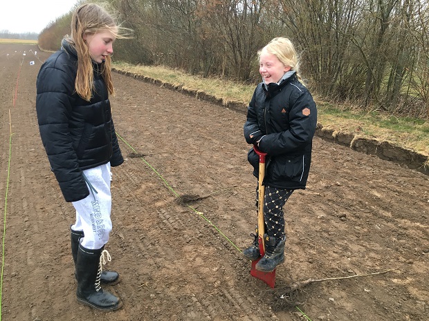 To piger er ved at grave et hul til at plante et træ i. Foto: Frederikssund Kommune.
