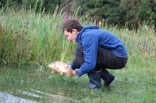 Dreng holder aborre i vandkanten. Foto: Fishing Zealand.