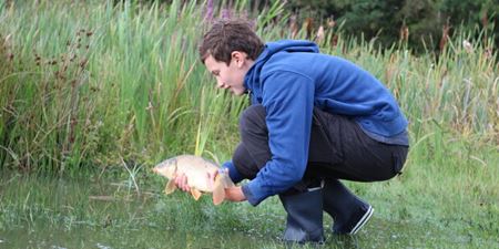 Dreng holder aborre i vandkanten. Foto: Fishing Zealand.