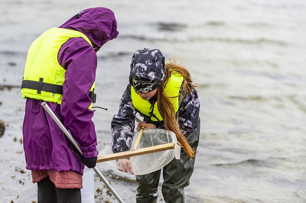 Elever kigger efter smådyr i fiskenettet. Foto: Frederikssund Kommune, Kenneth Jensen.